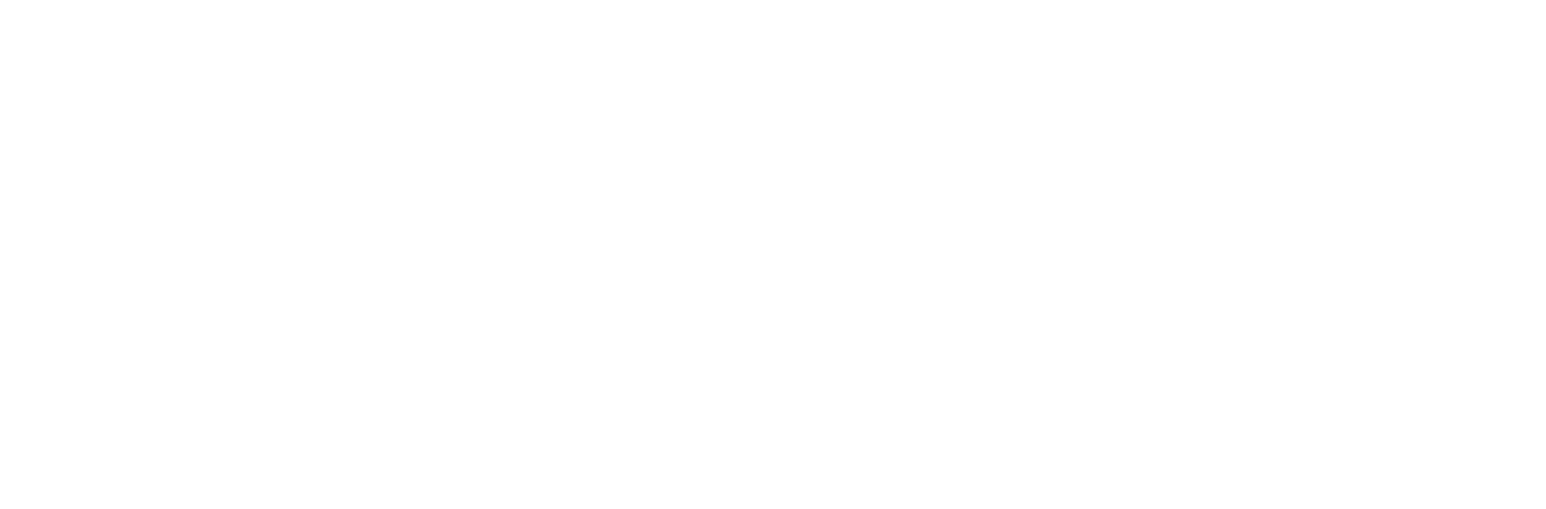 Viasos Logo wit